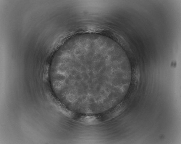 X0000110870554200907161441