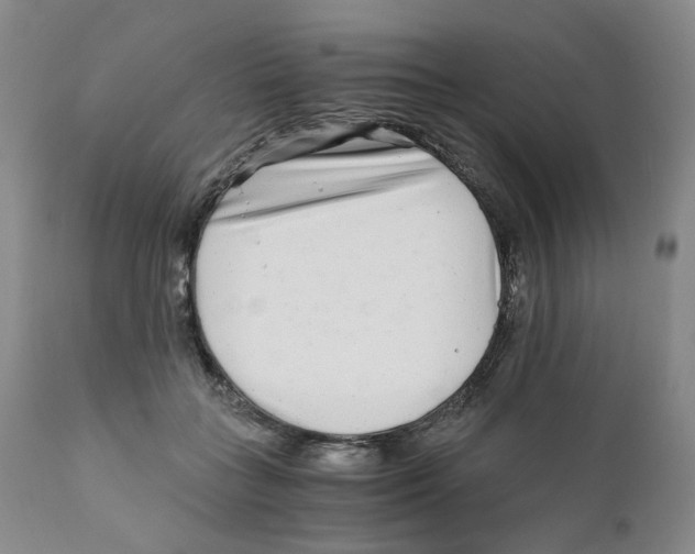 X0000110870555200907161441