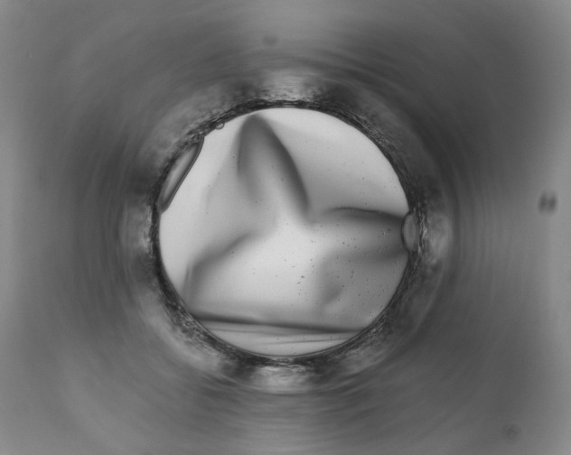 X0000110870556200907161441