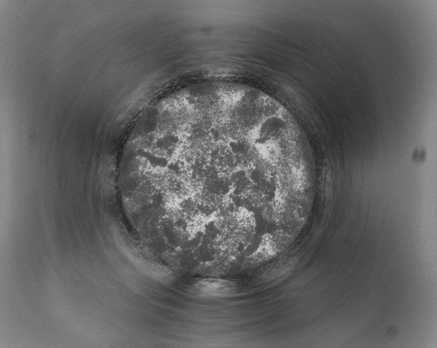 X0000110870557200907161441