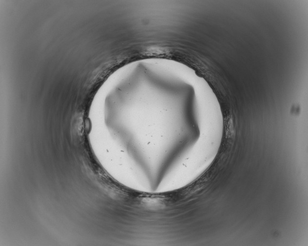 X0000110870560200907161441