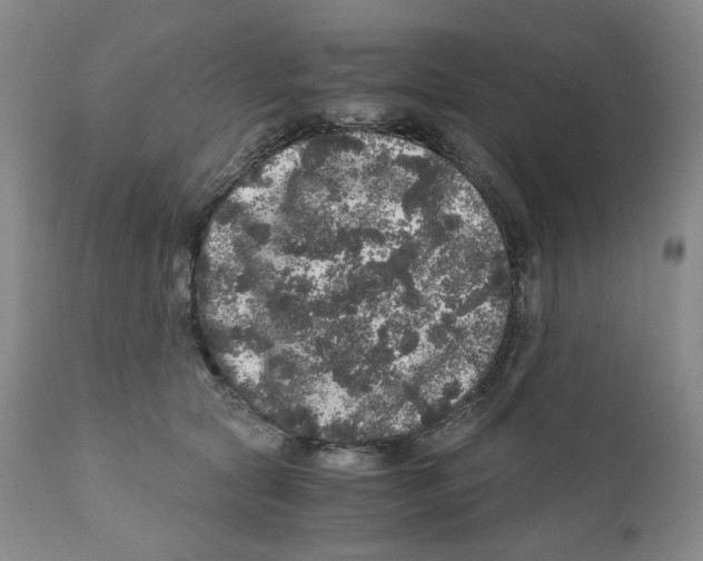 X0000110870561200907161441