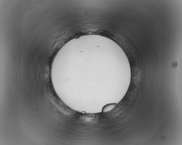 X0000110870563200907161441