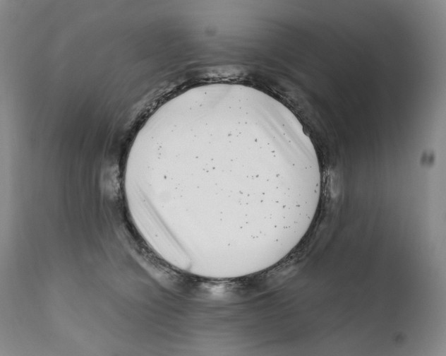 X0000110870564200907161441