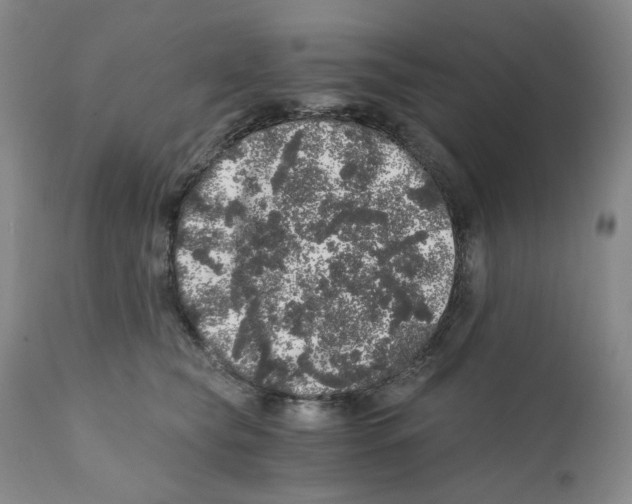 X0000110870565200907161441