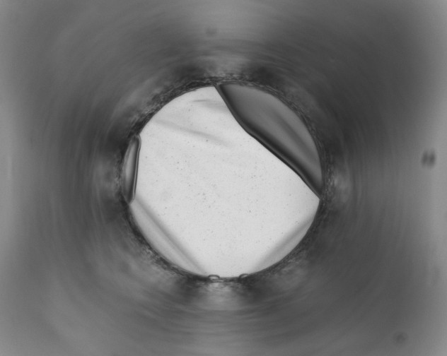 X0000110870566200907161441