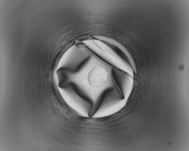 X0000110870568200907161441