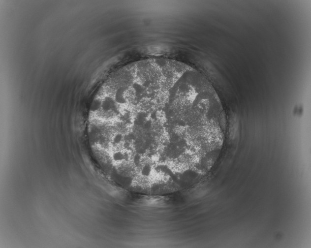 X0000110870569200907161441