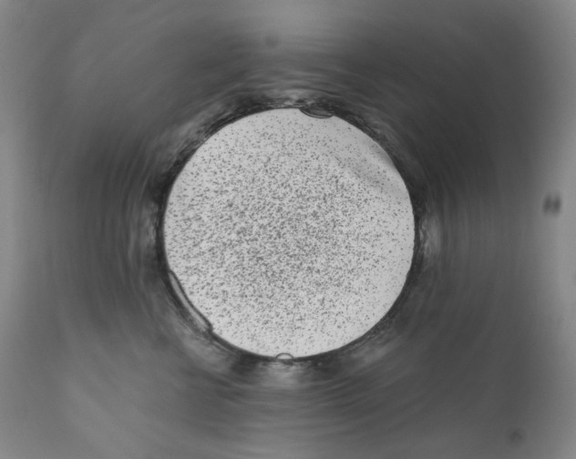 X0000110870570200907161441