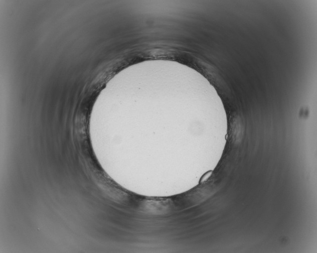 X0000110870571200907161441