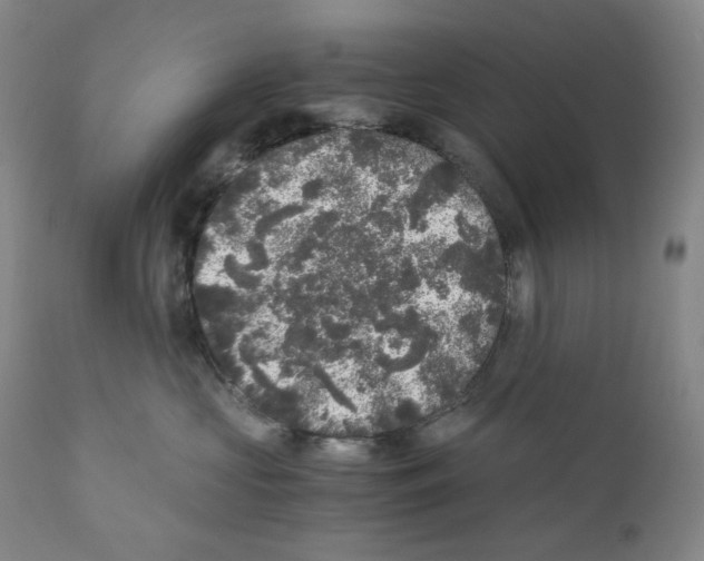 X0000110870573200907161441