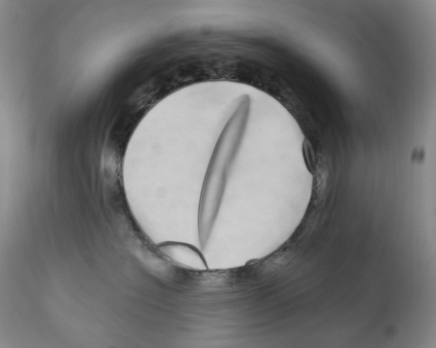 X0000110870574200907161441