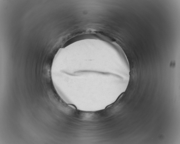 X0000110870575200907161441