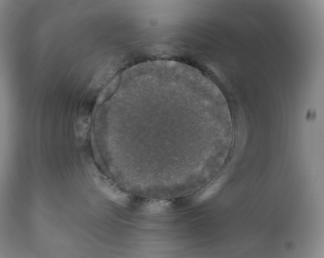 X0000110870576200907161441