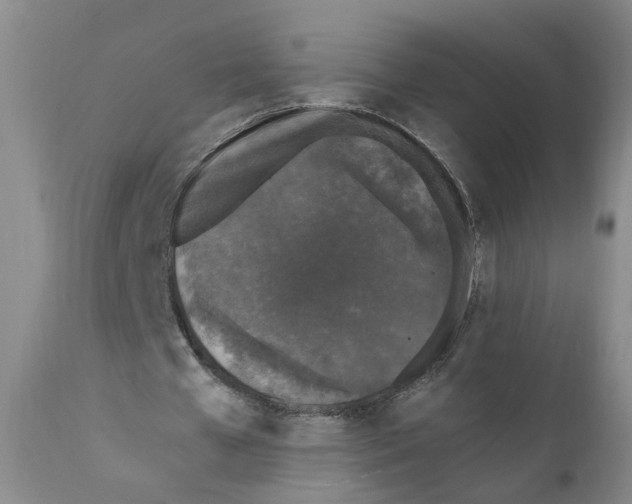 X0000110870577200907161440