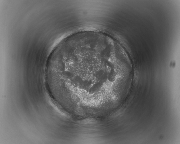 X0000110870578200907161440