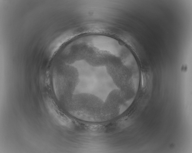 X0000110870579200907161440