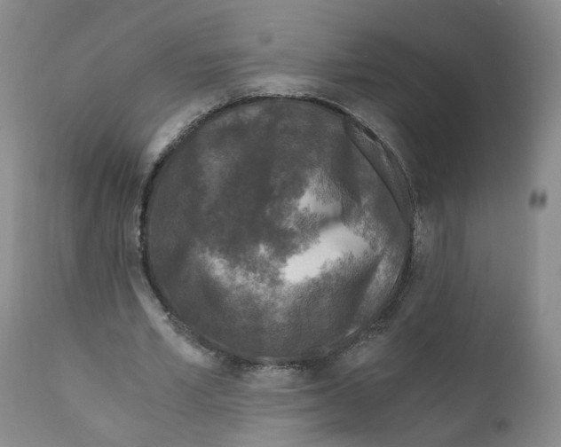 X0000110870581200907161440