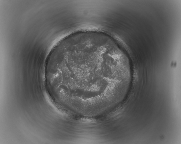 X0000110870582200907161440