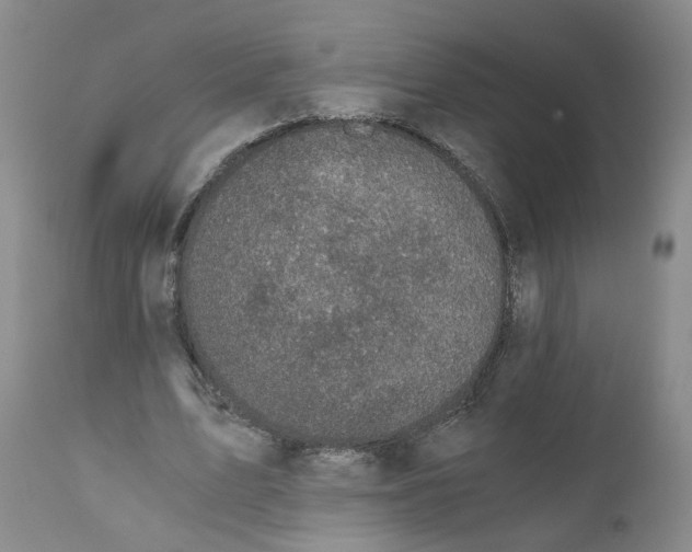 X0000110870583200907161440