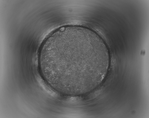 X0000110870584200907161440