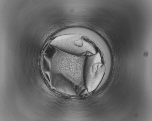 X0000110870585200907161440