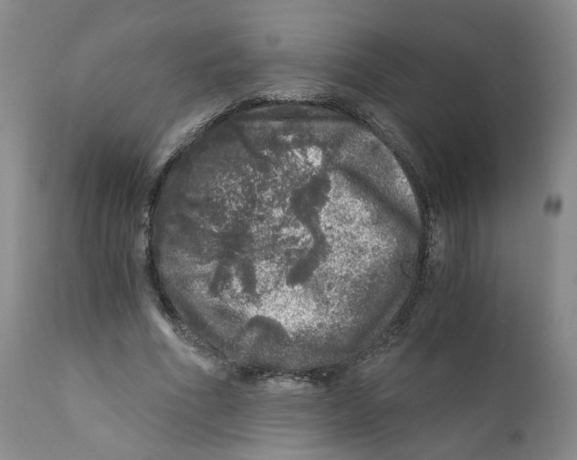 X0000110870586200907161440