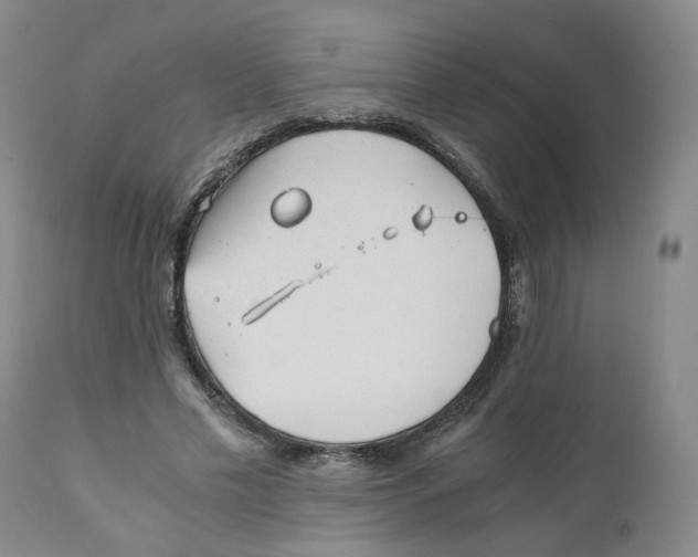 X0000110870589200907161440