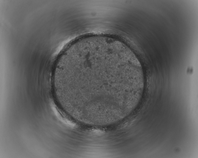 X0000110870592200907161440