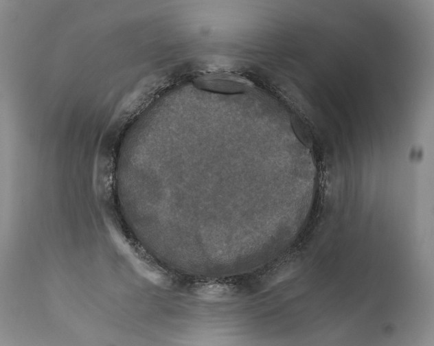 X0000110870593200907161440