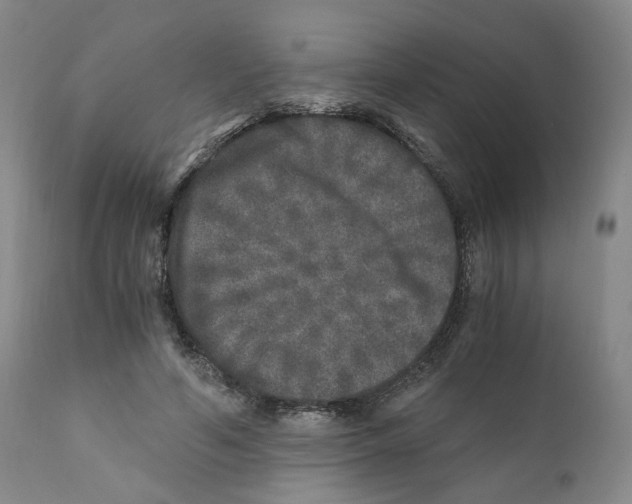 X0000110870594200907161440