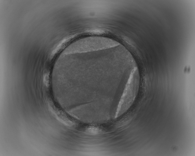 X0000110870596200907161440