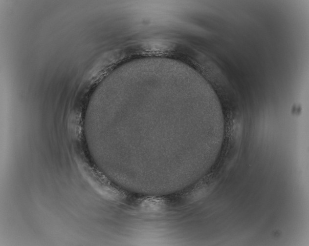 X0000110870599200907161440