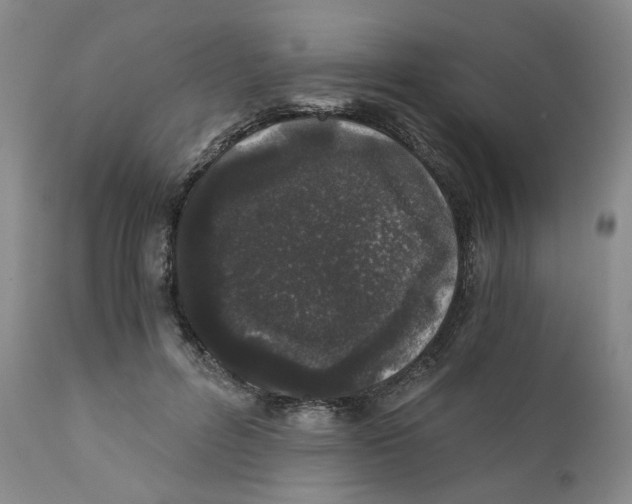 X0000110870600200907161440