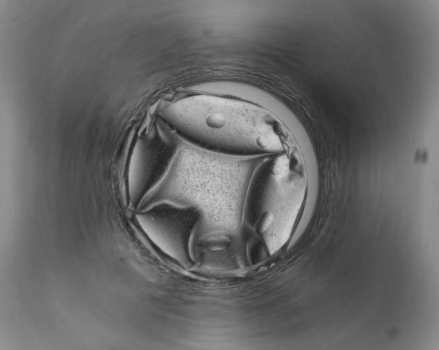 X0000110870601200907161440