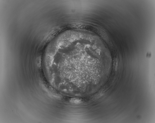 X0000110870602200907161440