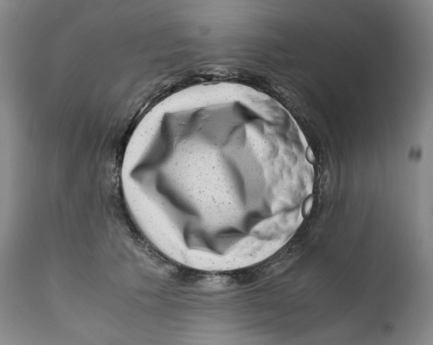 X0000110870609200907161440