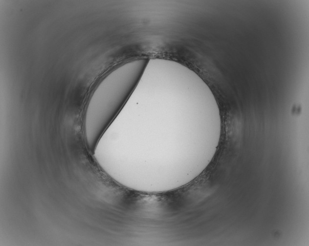 X0000110870611200907161440