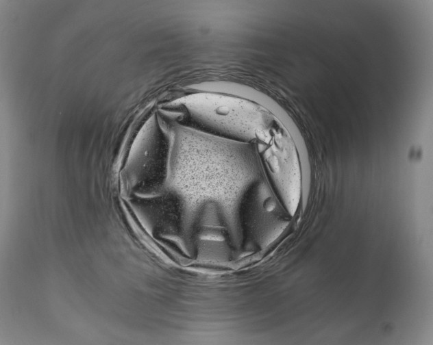 X0000110870613200907161440