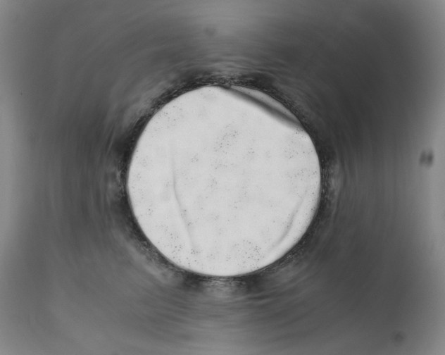 X0000110870615200907161440