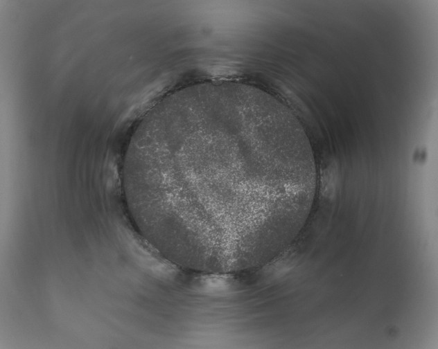 X0000110870618200907161440