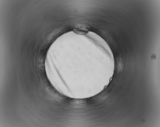 X0000110870619200907161440