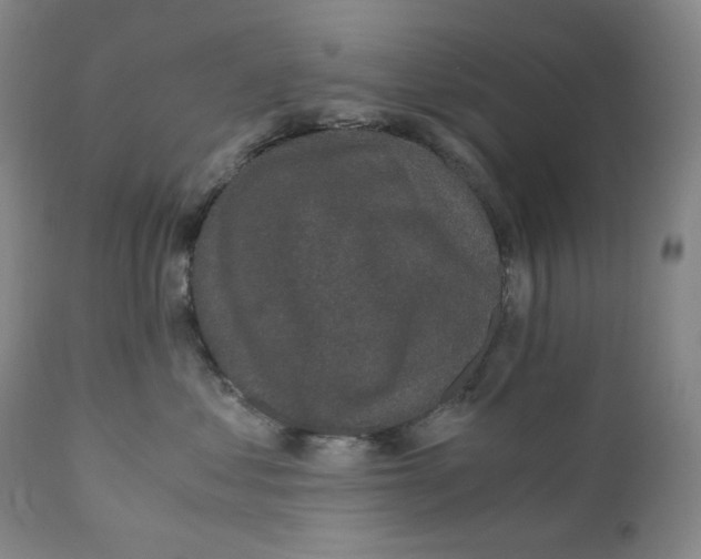 X0000110870621200907161440