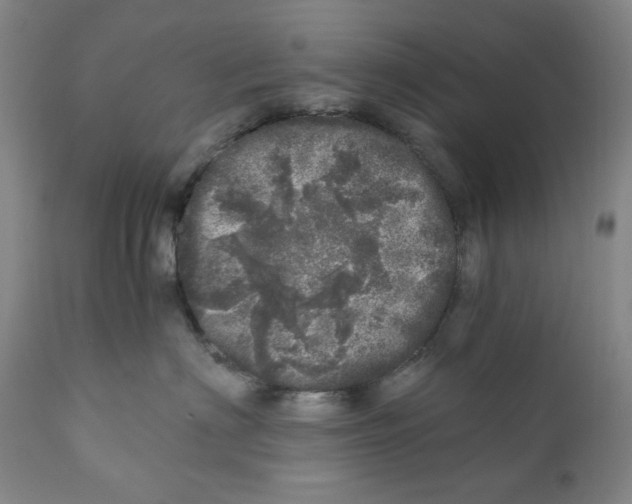 X0000110870622200907161440