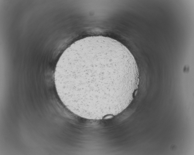 X0000110870624200907161440