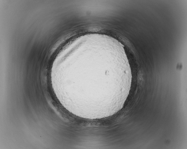 X0000110870626200907161439