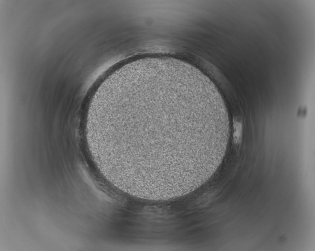 X0000110870627200907161439