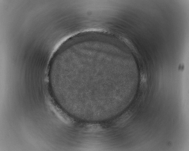 X0000110870628200907161439