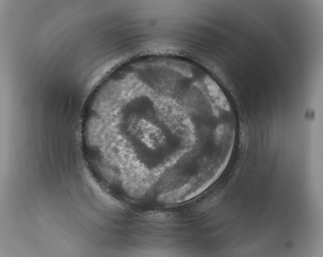 X0000110870629200907161439