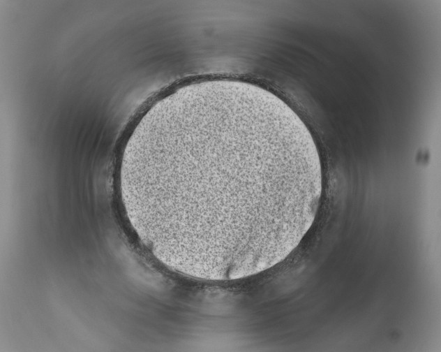 X0000110870632200907161439